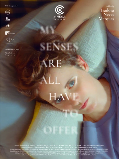 castiglioni film festival corti internazionali offer