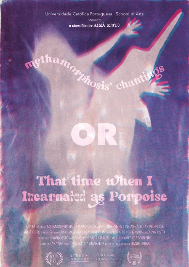 castiglioni film festival corti internazionali that time when i incarnated as porpoise